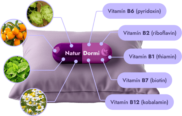 Polštář s kapslí NaturDormi® a ikonami vitamínů a bylin.