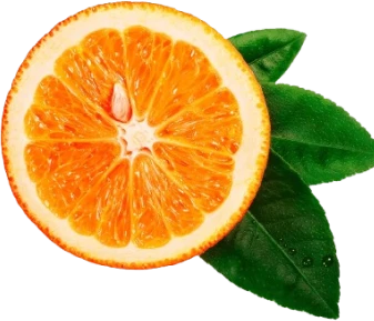 Pomerančovní čínský